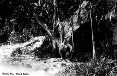 PunchBowlSpring191__rc10719a.webp