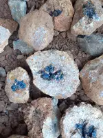 20191016_173816.webp