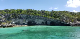20190328_123745.webp