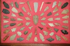 New Trays (4).webp