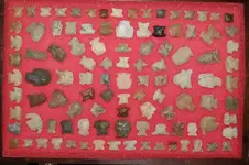 New Trays (11).webp