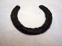 LBH 2008 horseshoe.webp
