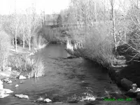 creek2.webp