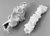 fulgurite2.webp