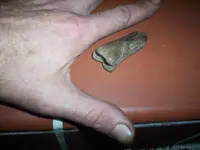prehistoricVEROMAN1.webp