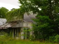 Windyville_Walters_050405_lg.webp