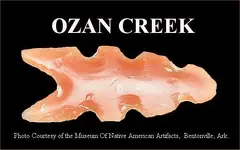 ozan1.webp