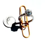 ring.webp