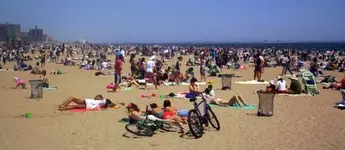 Coney Island 6.webp