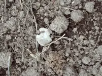 20191106_105421.webp