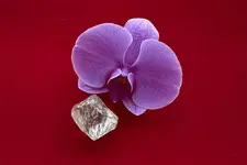 alrosa-232carats-yakutia.webp