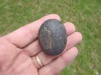 egg2.webp