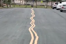 wonkyroadlines.webp