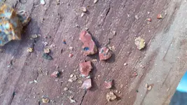 20191017_113746.webp
