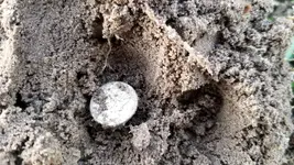 20190829_190414 First Mercury dime.webp