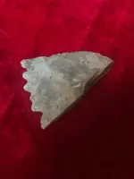 ImageUploadedByTreasureNet.com1568897499.746300.webp