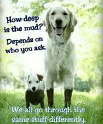 deepwaters.webp