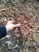 IMG_20191107_122025496.webp