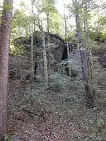 IMG_20190902_101757622.webp