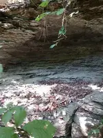 IMG_20190908_144659129.webp