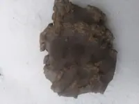 20191017_173402.webp
