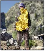 huge_gold_nugget.webp