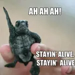 stayin alive.webp