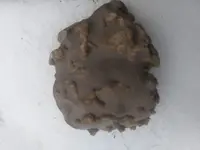 20191017_173353.webp