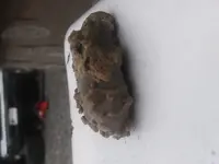 20191017_173346.webp
