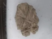 20191017_173316.webp