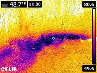 FLIR0854.webp