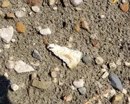 20190908_195805.webp