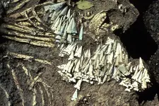 cahokia1.webp