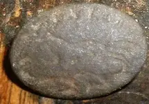 dn2.webp