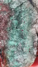 20190919_081925.webp 20190919_081925.webp