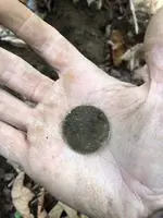 ImageUploadedByTreasureNet.com1570555431.434761.webp