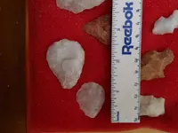 DSCN1743.webp