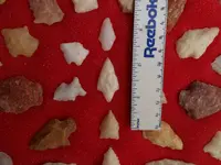 DSCN1750.webp