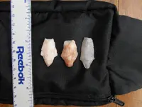 DSCN1751.webp