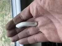 fingered.webp fingered.webp