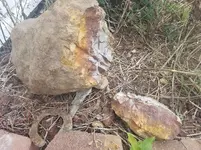 20190828_161201[1].webp