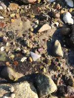 ImageUploadedByTreasureNet.com1567182806.552804.webp