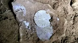 Jaroslaw-Musialkowski-coins-5-SWNS.webp