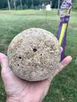 Ball.webp