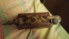 IMG-20191103-WA0000.webp