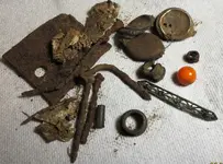 Bee Plc 110719 Finds.webp