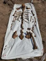 3b9e283c-3ebf-4351-abe3-9a3494b3a51e-REMAINS.webp