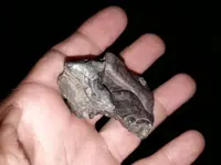 20190828_194923.webp