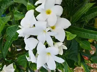 20190927_181945_HDR.webp