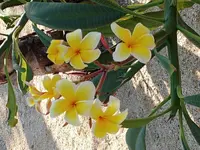 20190926_164643.webp